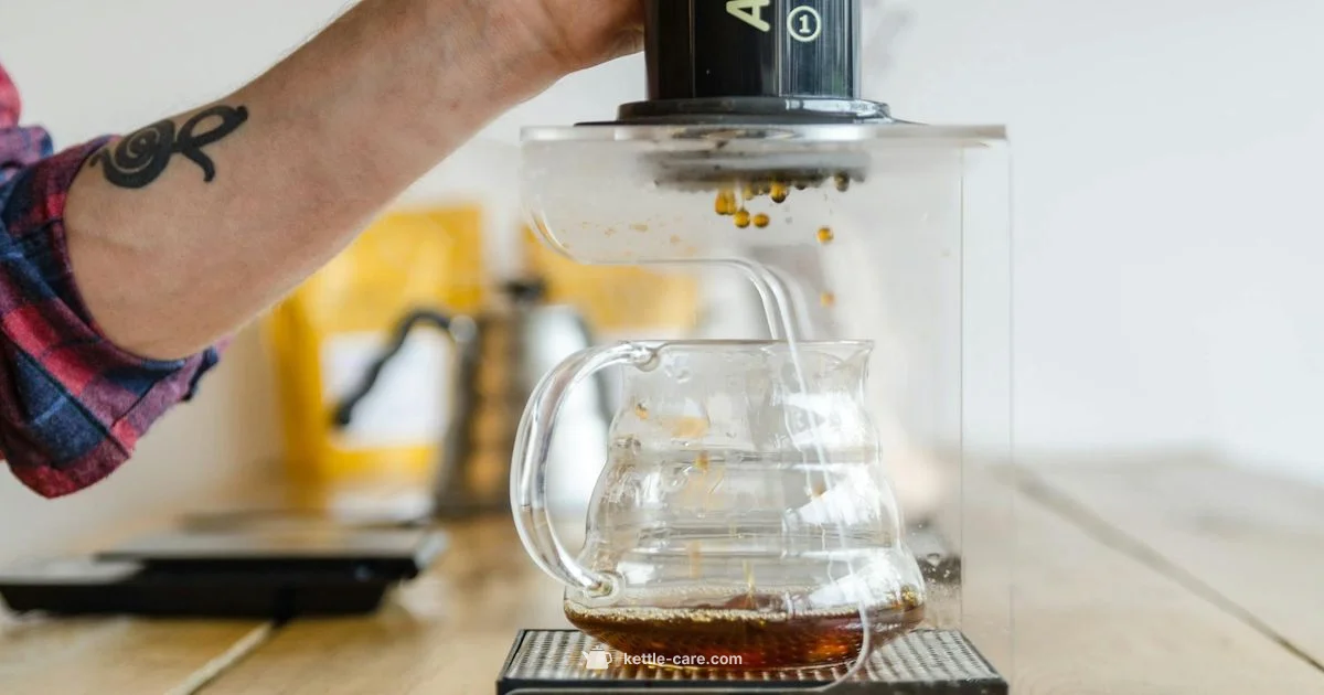 AeroPress Pour Control - Kettle Care