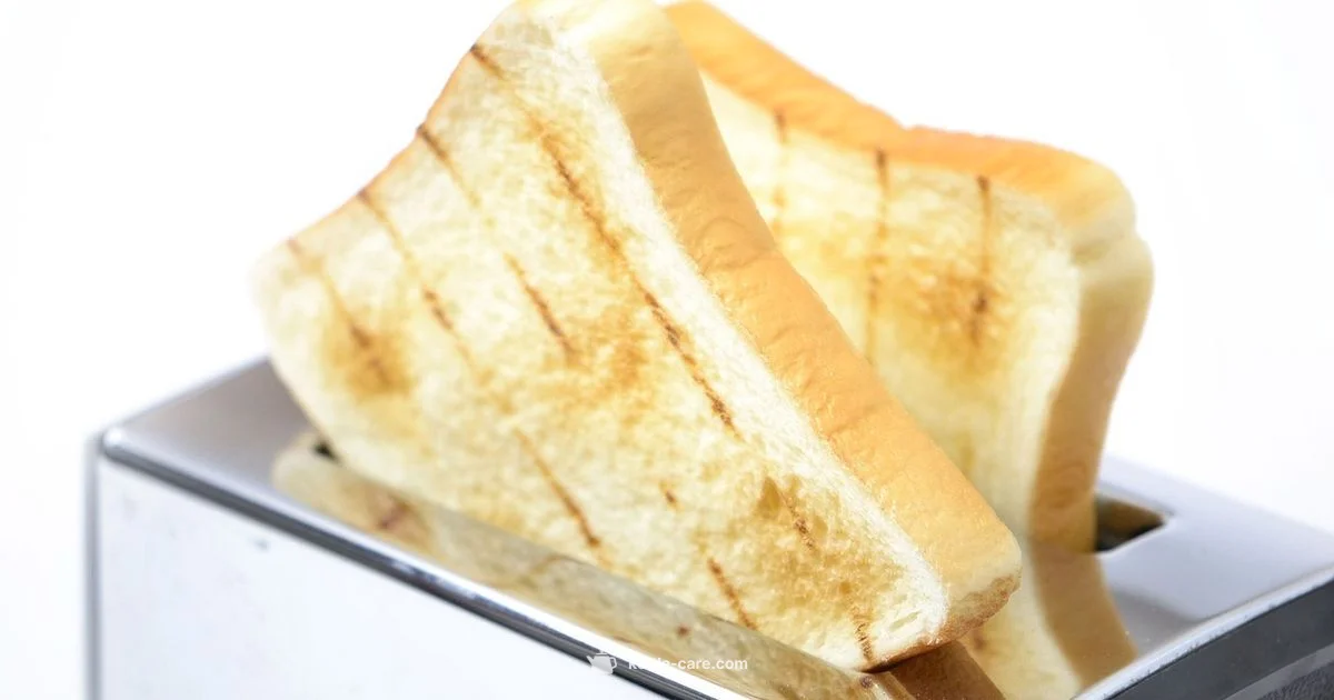 All-in-One vs Separate - Kettle Care