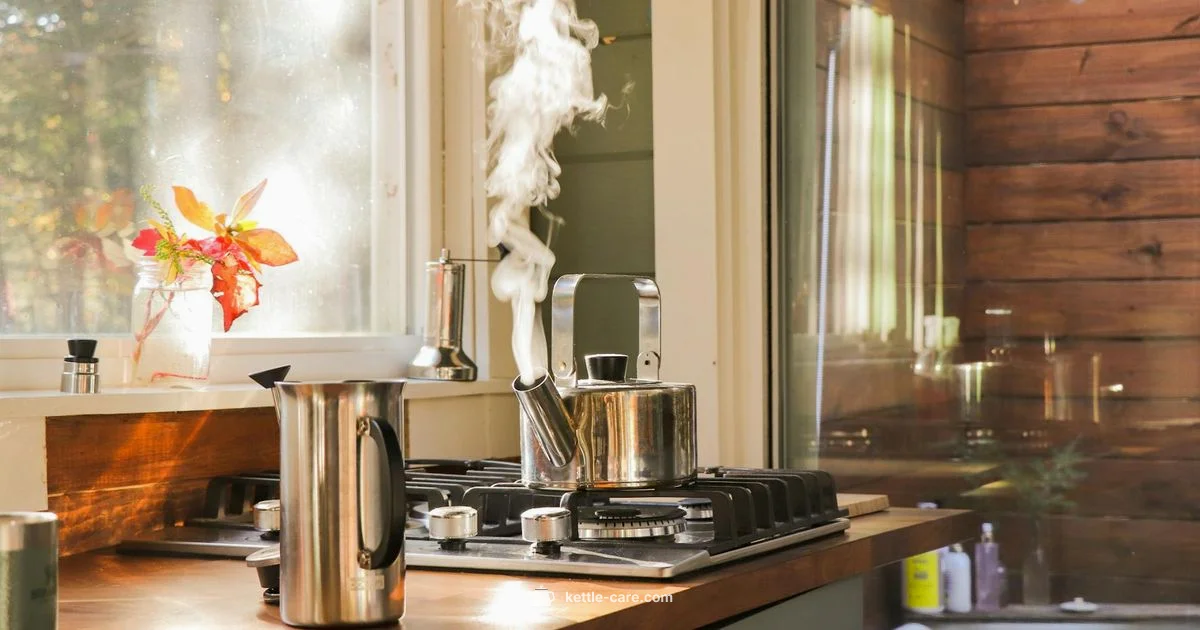 Electric Kettle Guide - Kettle Care