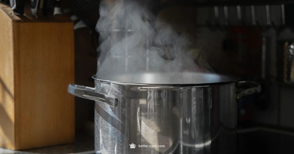 Kettle Boiling Science - Kettle Care