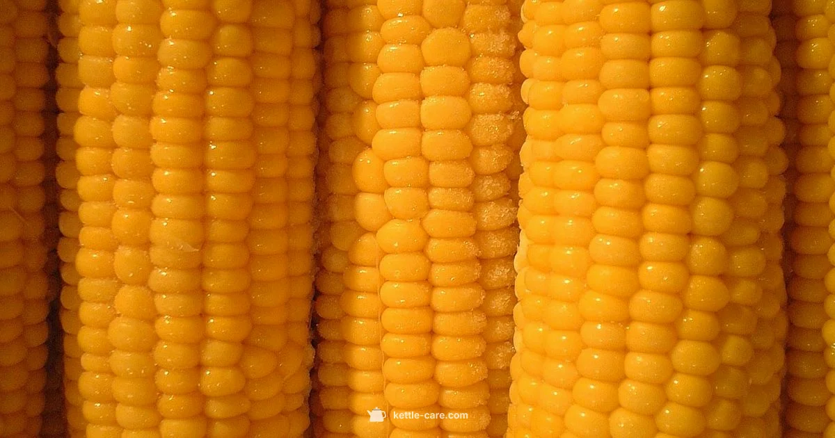 Kettle Corn Guide - Kettle Care