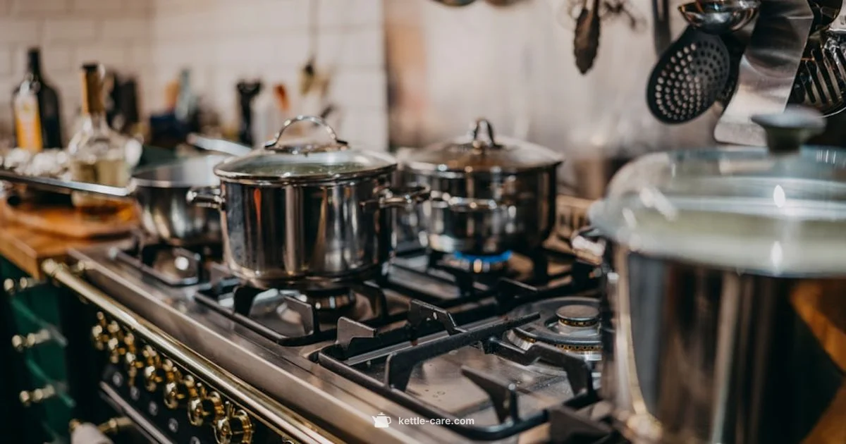 Kettle Whistle Guide - Kettle Care