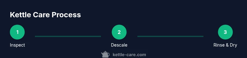 Process infographic showing inspect, descale, rinse steps for kettle care