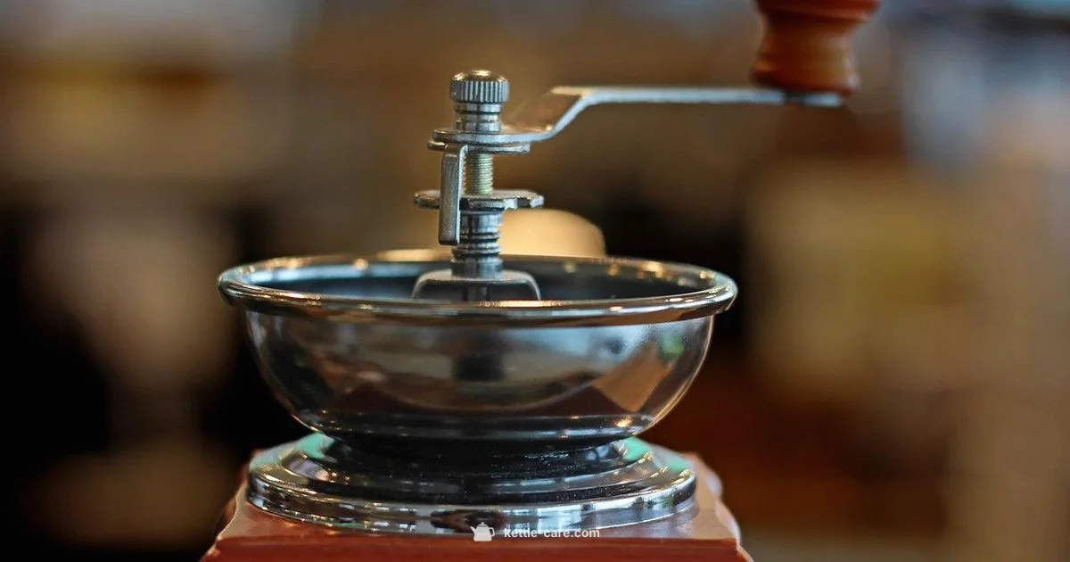 Metal Electric Kettle Guide - Kettle Care