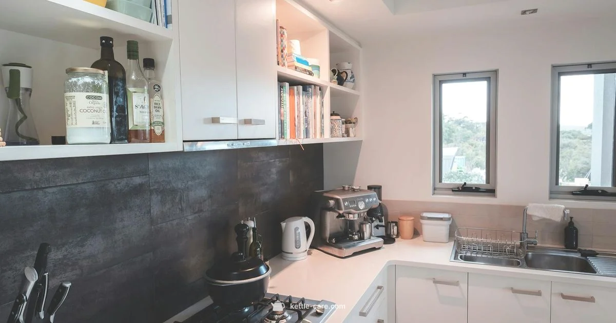 Kettle Cleaning 101 - Kettle Care