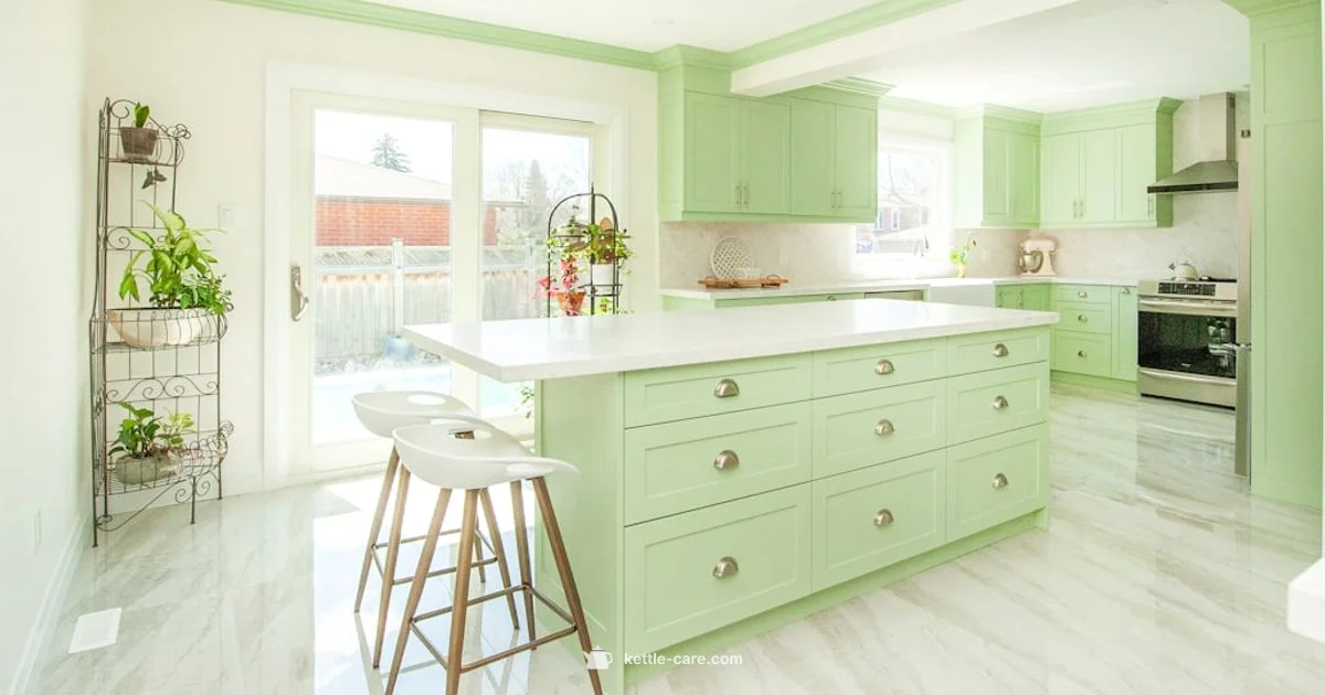 Green Kivvi Review - Kettle Care