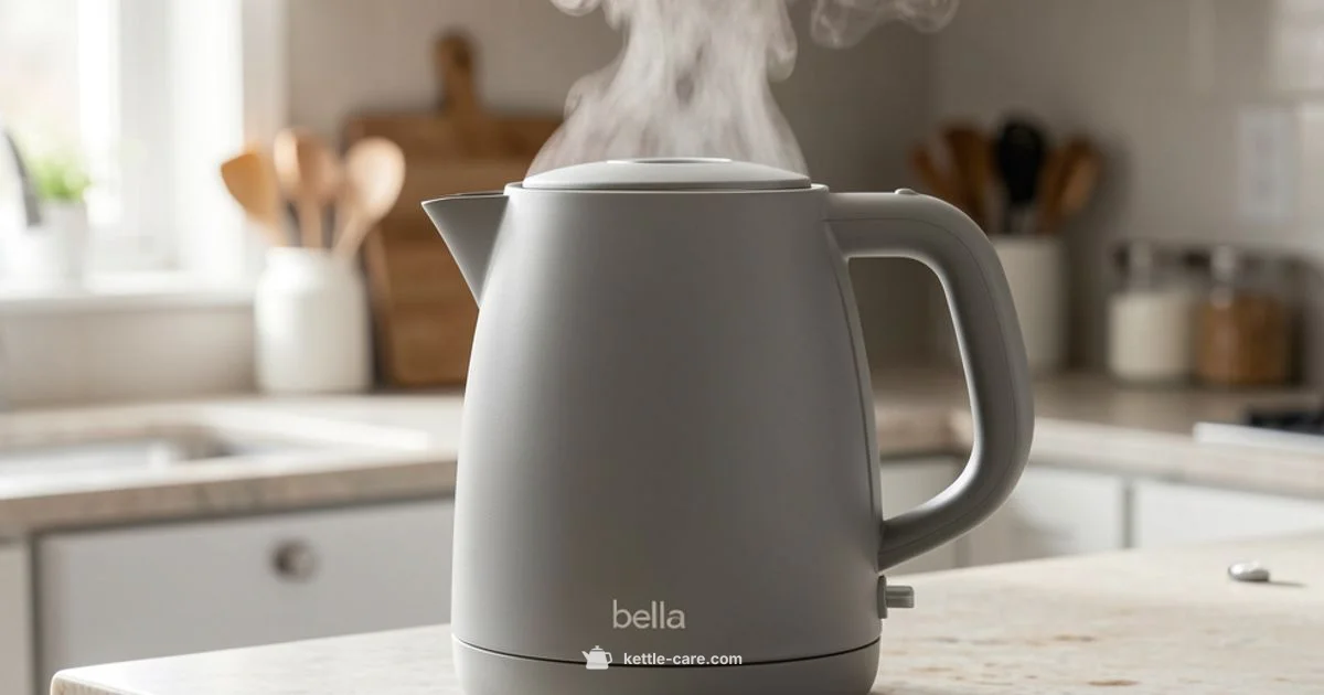 Bella Kettle Guide - Kettle Care