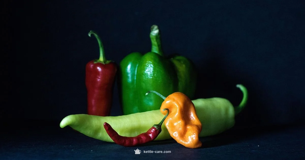 Black Kettle Electric - Kettle Care