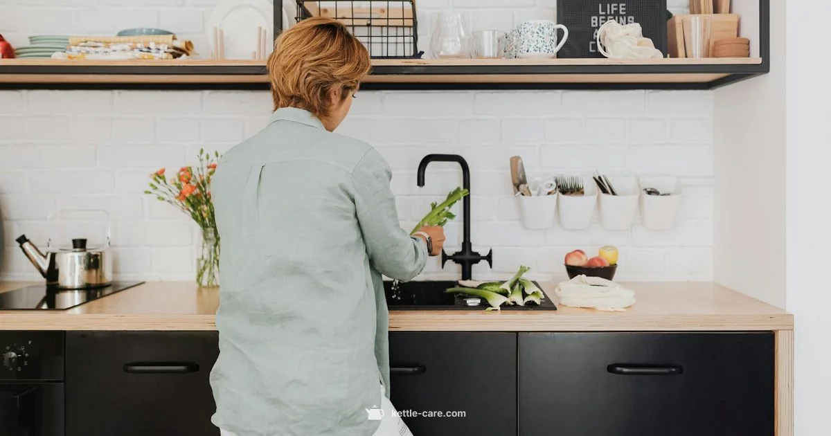 Electric Kettle History - Kettle Care