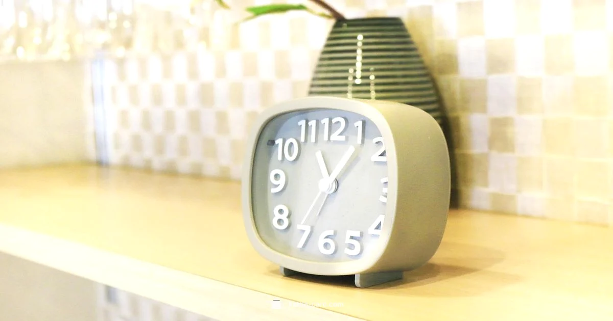 Timer Kettle Essentials - Kettle Care