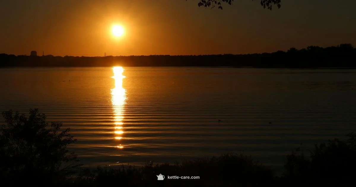 Dallas Kettle Art - Kettle Care