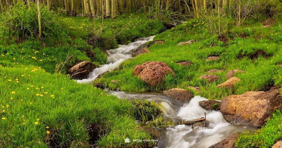 Kettle Creek PA - Kettle Care