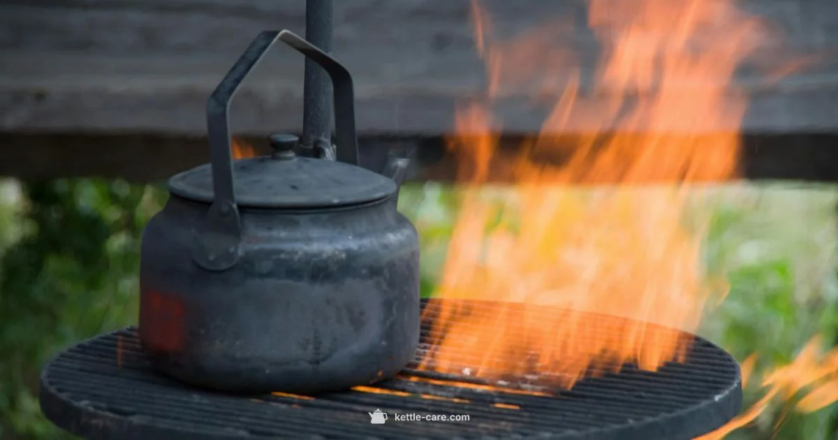 Kettle Water Safety - Kettle Care