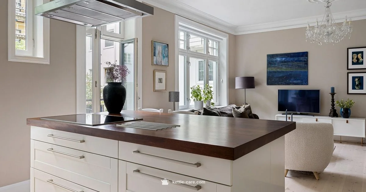 Temp Control Kettle - Kettle Care