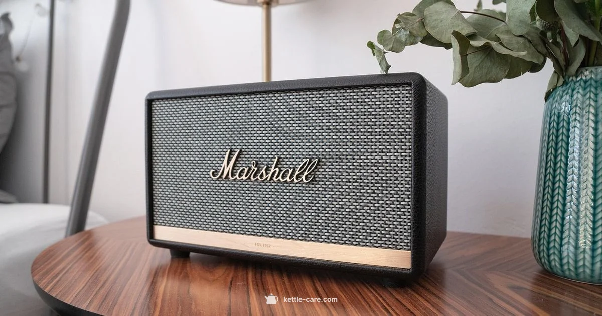 Bluetooth Kettle Guide - Kettle Care