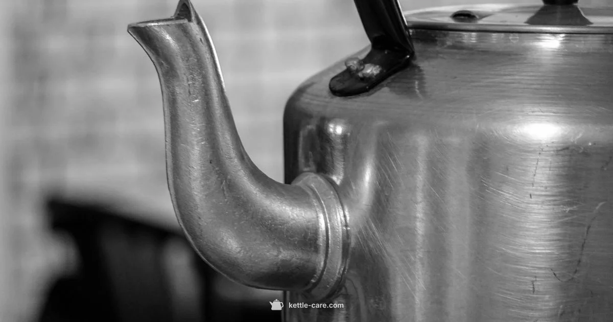 Stagg Kettle Review - Kettle Care