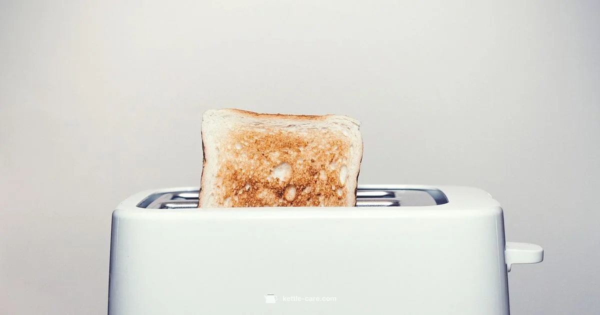 Smeg Kettle & Toaster - Kettle Care