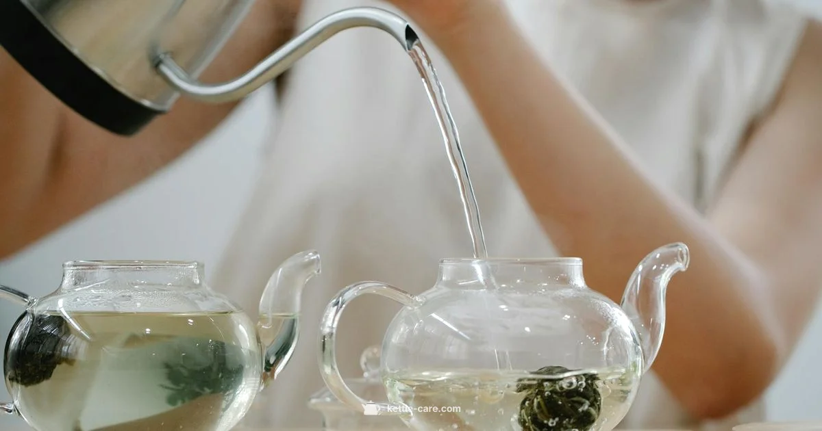 Crystal Clear Boil - Kettle Care