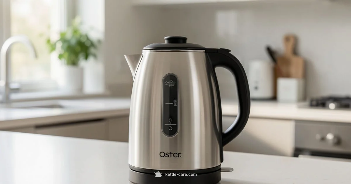 Oster Kettle Guide - Kettle Care