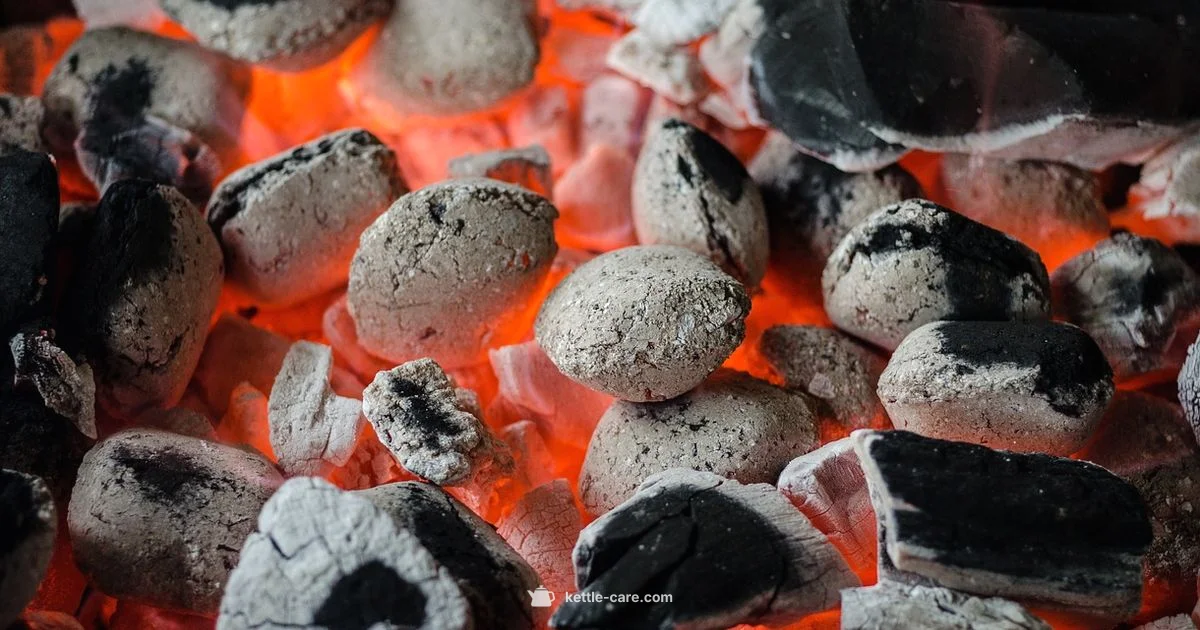 BBQ Chips Kettle BBQ Chips Kettle - Kettle Care