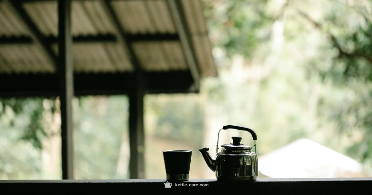 Quiet Kettle Guide - Kettle Care