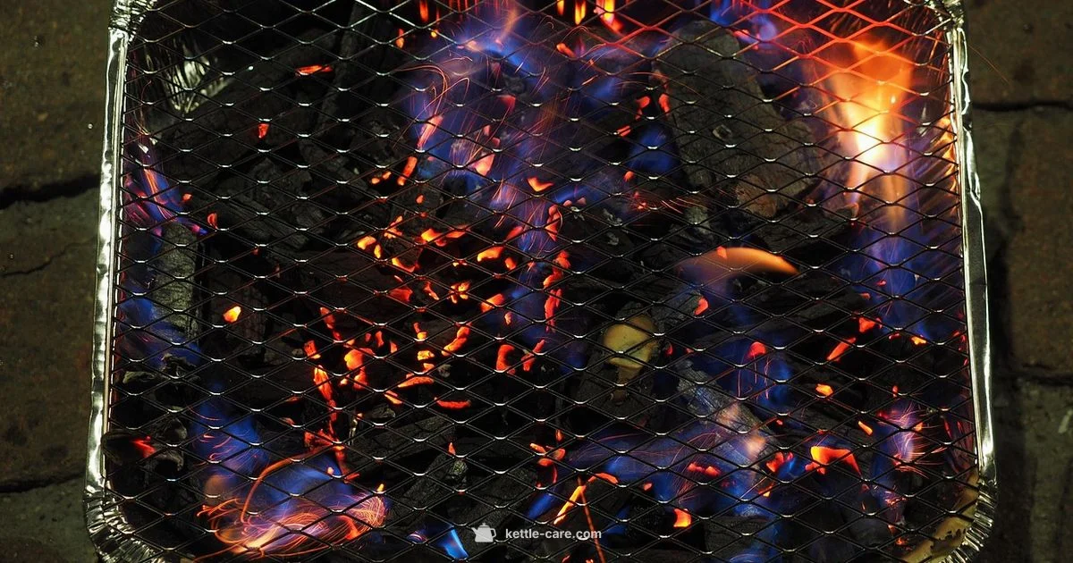 Weber vs Smokey Mountain - Kettle Care