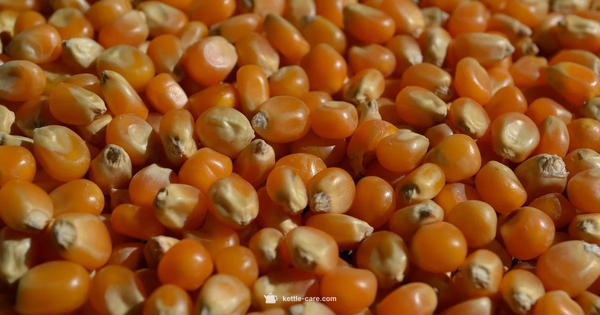 Kettle Corn Guide - Kettle Care