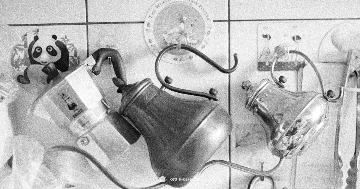 Kettle Repair Tips - Kettle Care