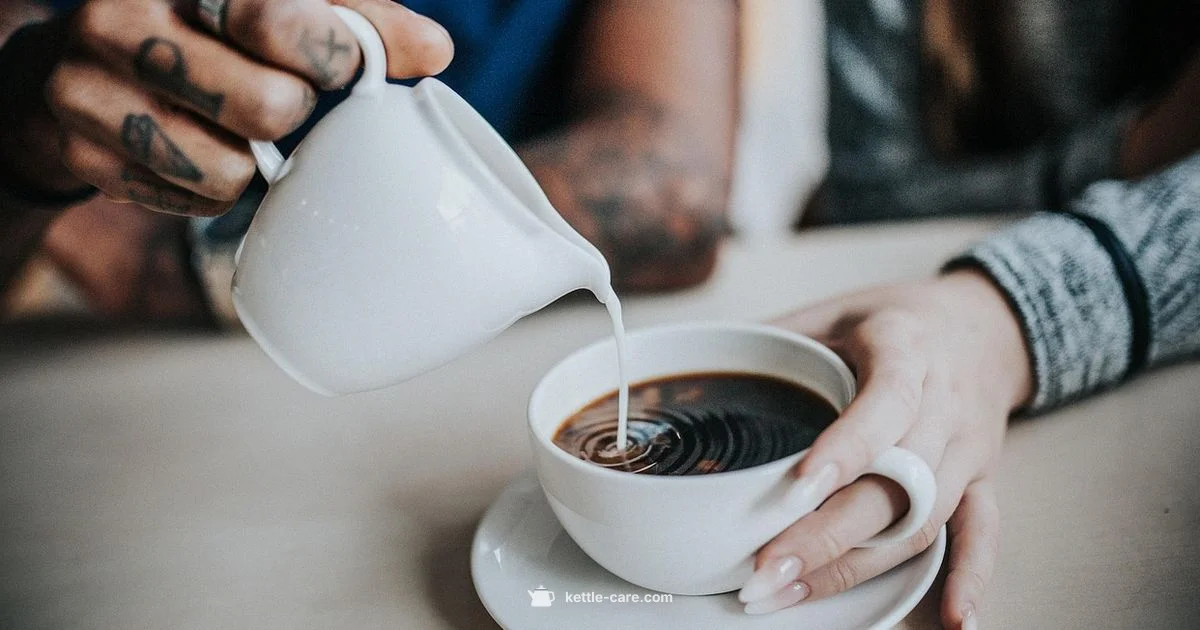 Best Coffee Maker on the Market - Kettle Care