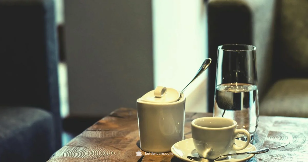 Travel Kettle Guide - Kettle Care