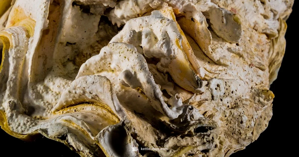 Kettle Limescale Safety - Kettle Care