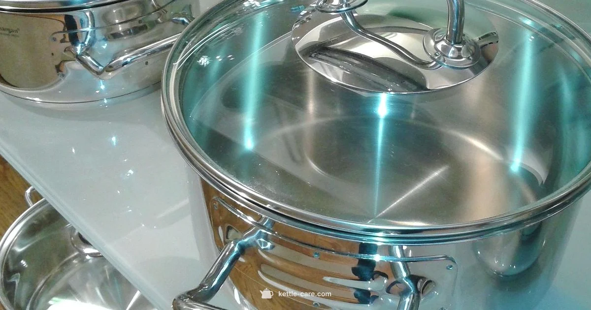 Kettle Basics - Kettle Care