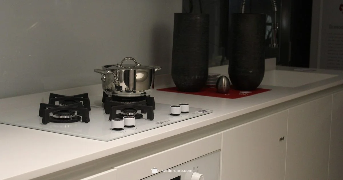 Kettle Whistle Guide - Kettle Care