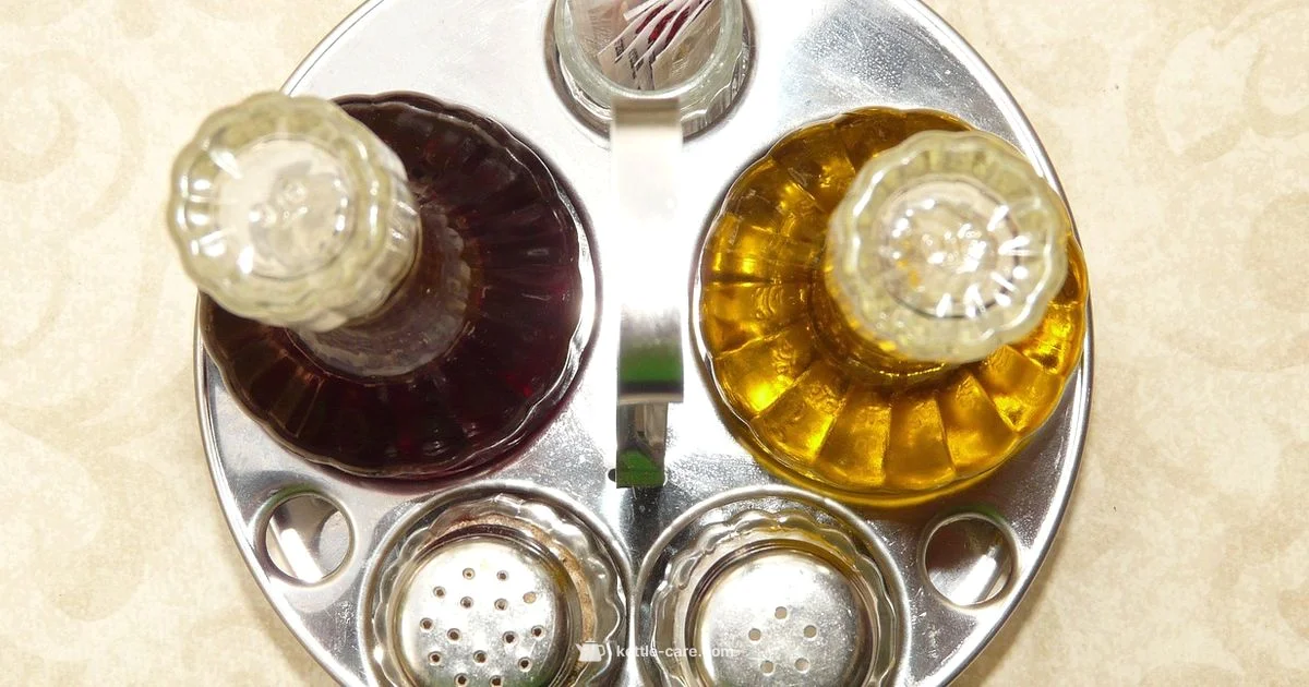 Salt and Vinegar Chips Salt and Vinegar Chips - Kettle Care