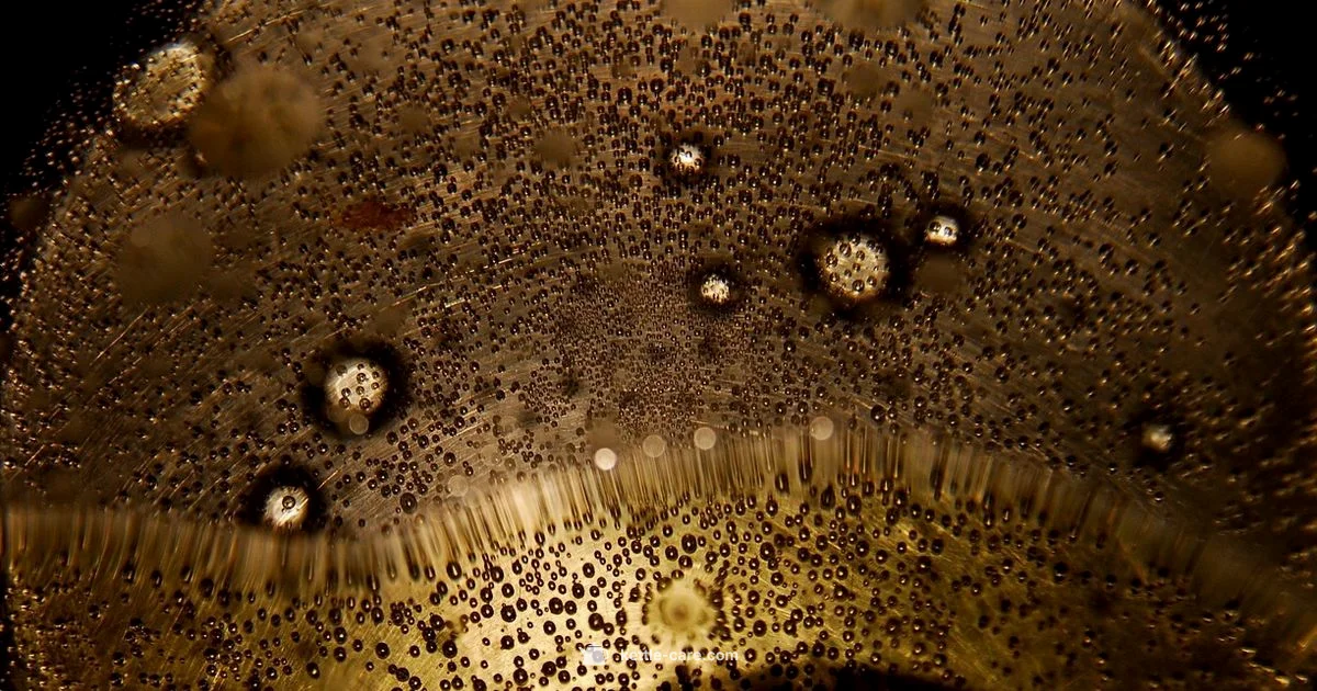 Kettle and White Goods - Kettle Care