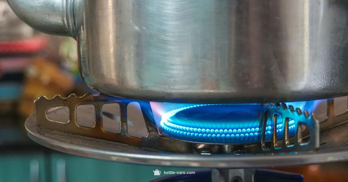 Stovetop Kettle Care Stovetop Kettle Care