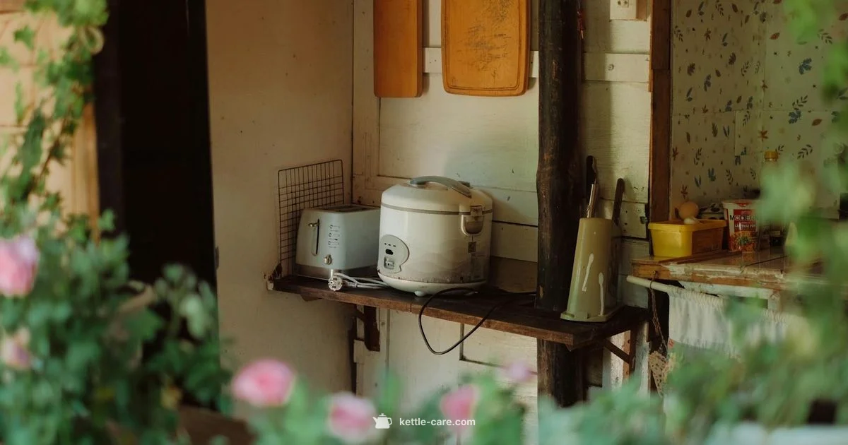 Rose Gold Kitchen Duo - Kettle Care