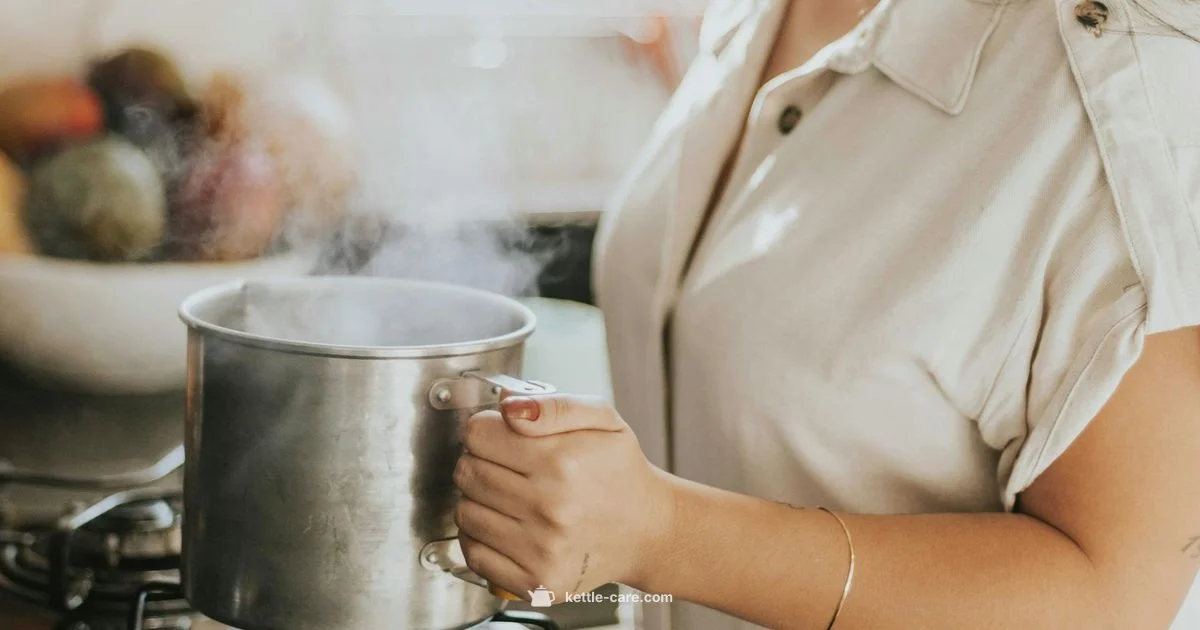 Non Toxic Kettles - Kettle Care