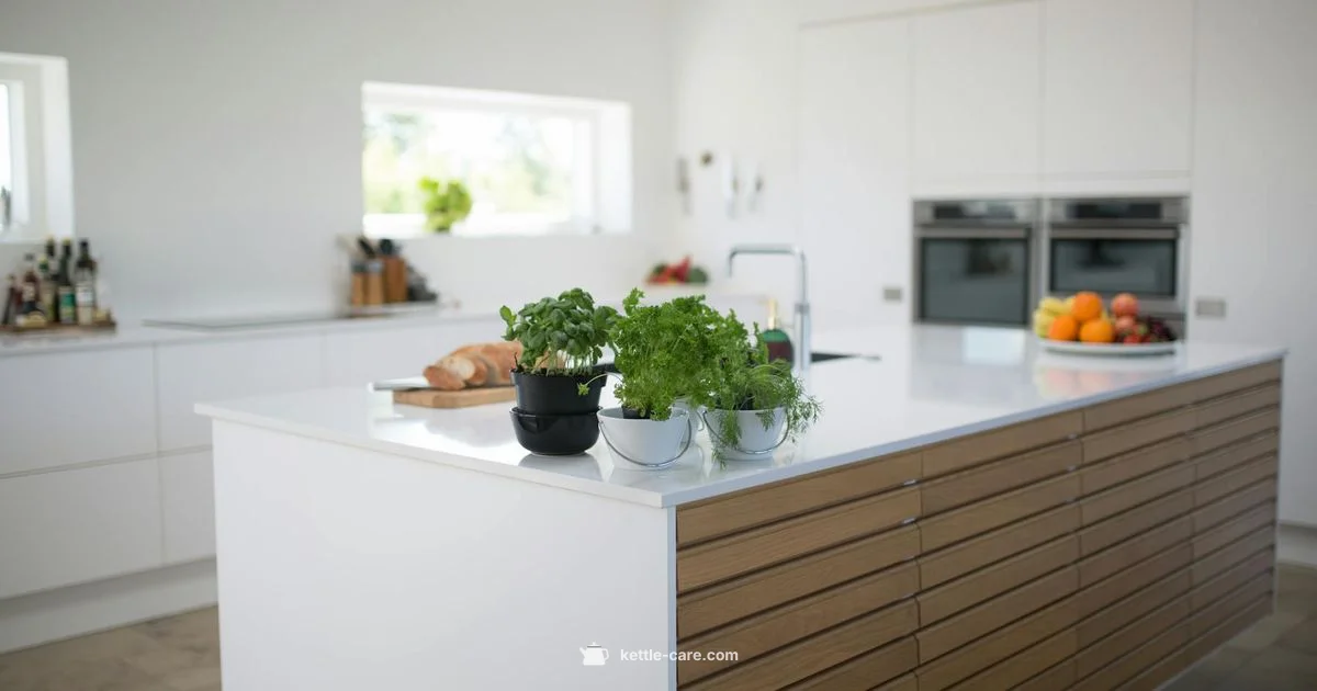 Kettle Comparison - Kettle Care