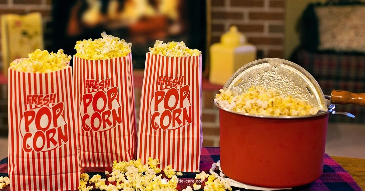 Kettle Corn Makers - Kettle Care