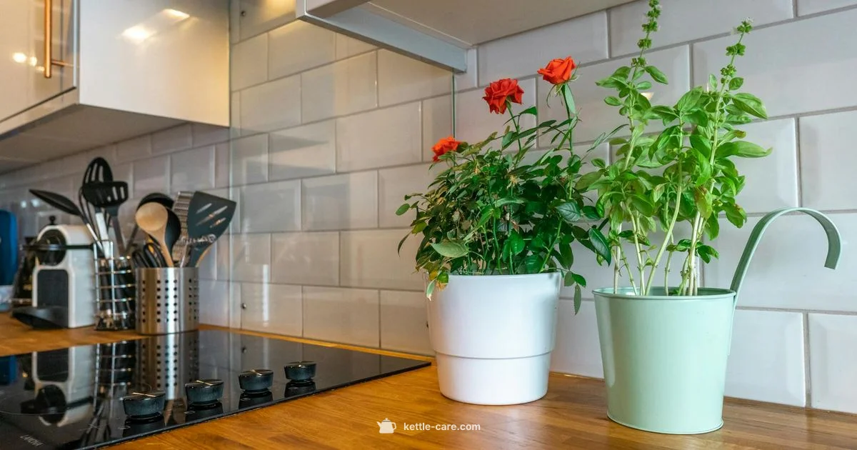 Small Kettle Guide - Kettle Care