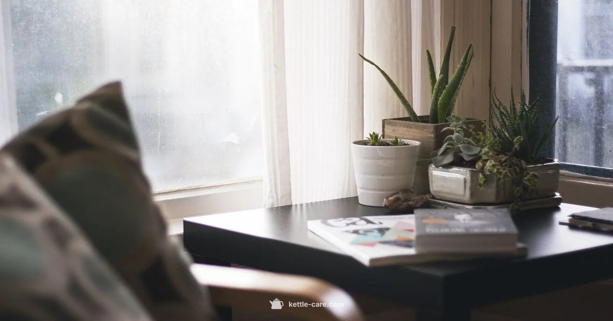 Ceramic vs Stainless - Kettle Care