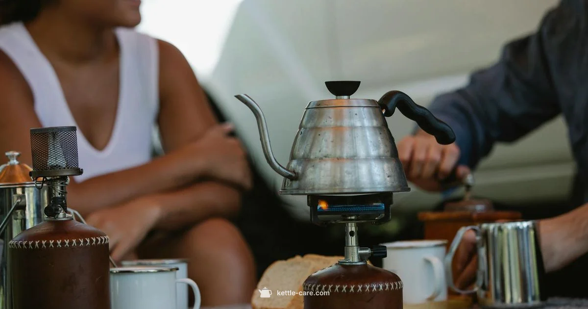 Fellow Corvo EKG Overview - Kettle Care