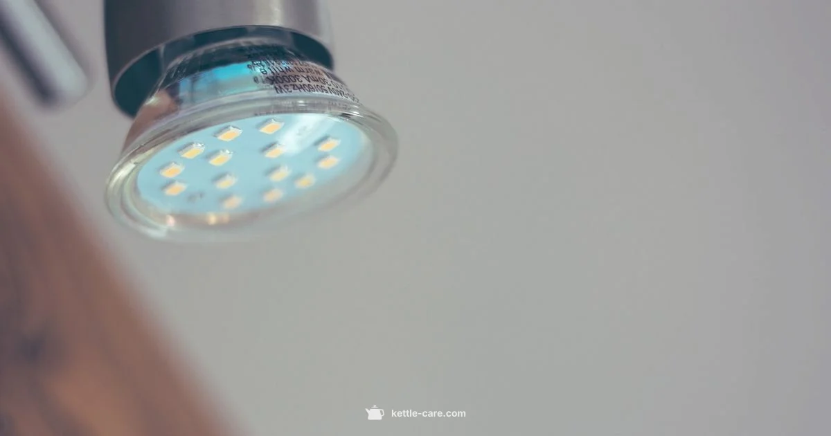 Large Electric Kettle - Kettle Care