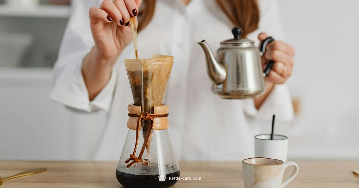 Precision Pour Kettle - Kettle Care