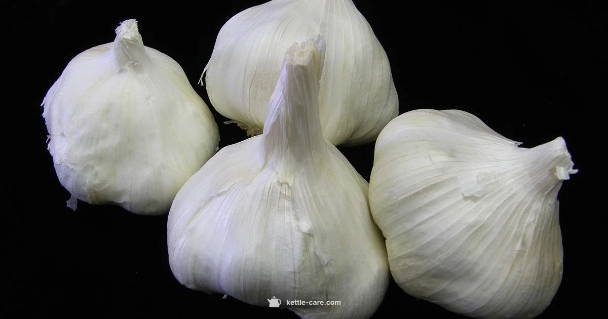 Black Smeg Kettle - Kettle Care