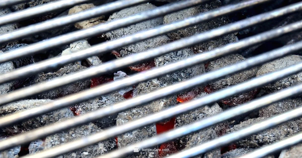 Weber Kettle Guide - Kettle Care