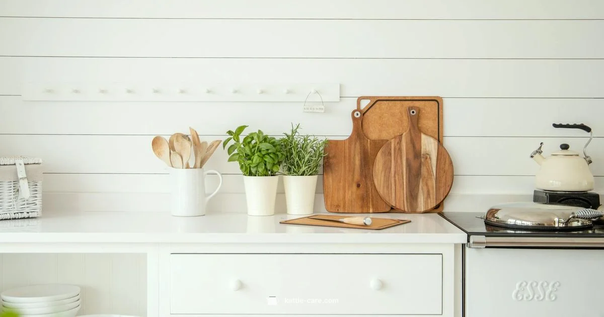 Cordless Kettle Guide - Kettle Care