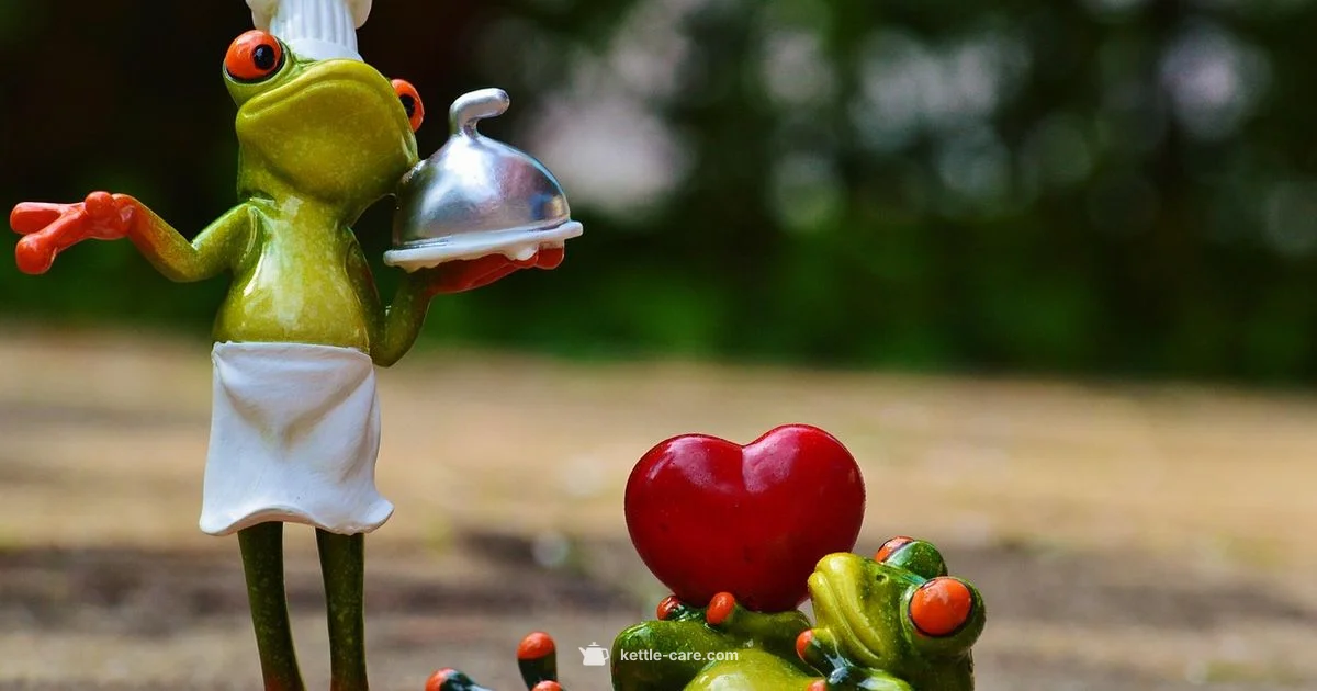 Laura Ashley Kettle Guide - Kettle Care