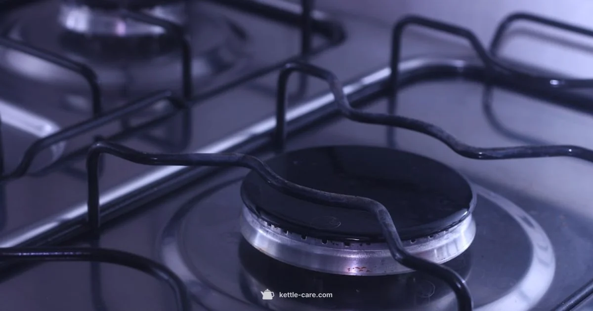 Induction Kettle Picks - Kettle Care